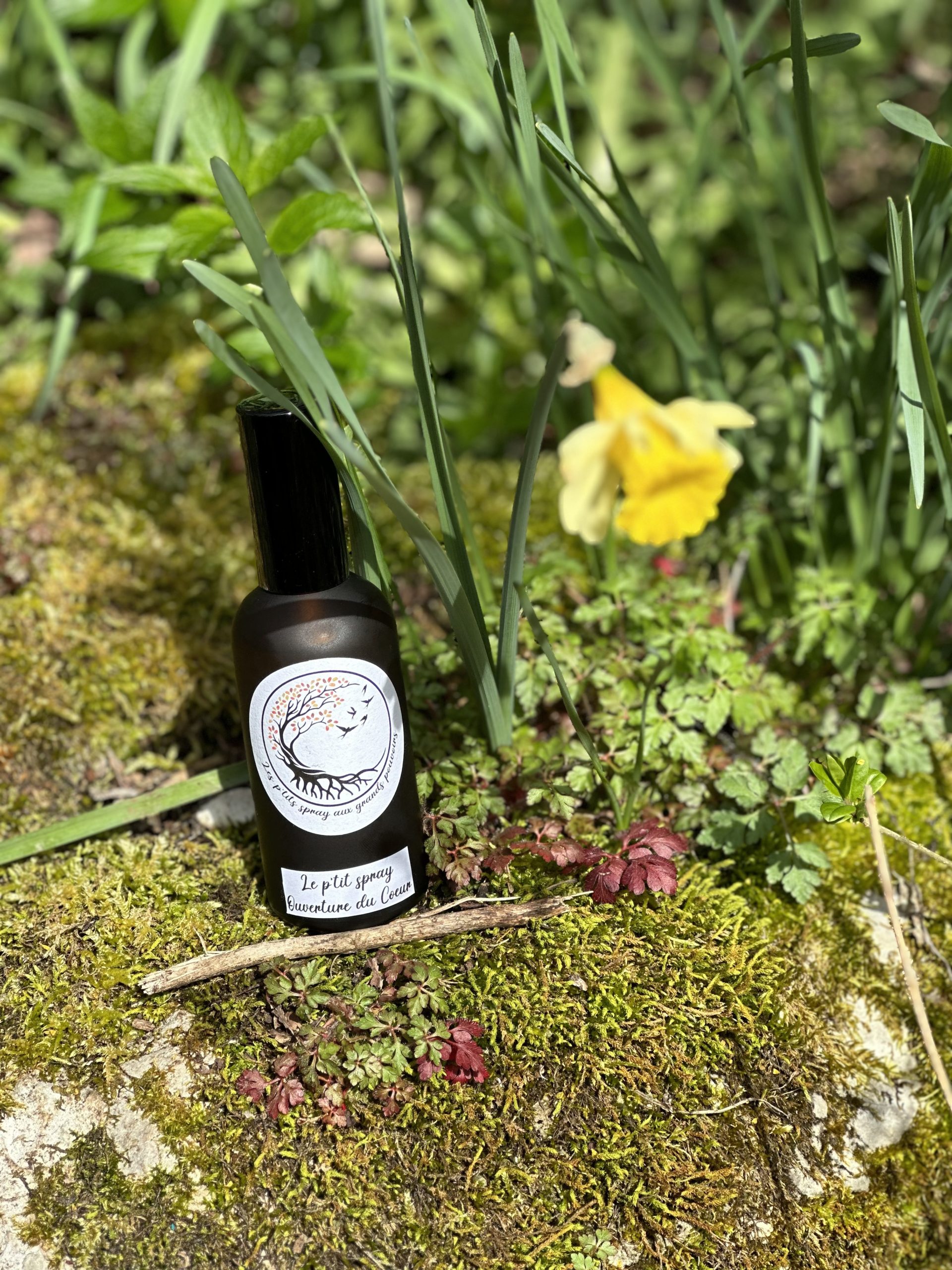 Le p'tit spray ouverture du coeur